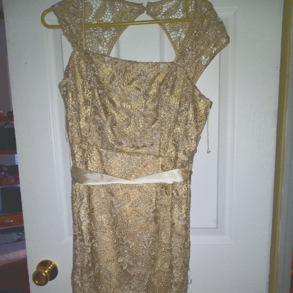 Adrianna Papell Kids size 10 lace dress holiday dress